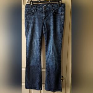 Anthropologie Freedom of Choice Cascade Blue Denim Flare Jeans Women's Sz 28